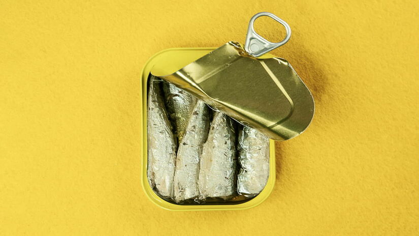 Além disso, a sardinha ainda conta com proteínas de fácil digestão pelo corpo humano (Karen Laårk Boshoff/Pexels)