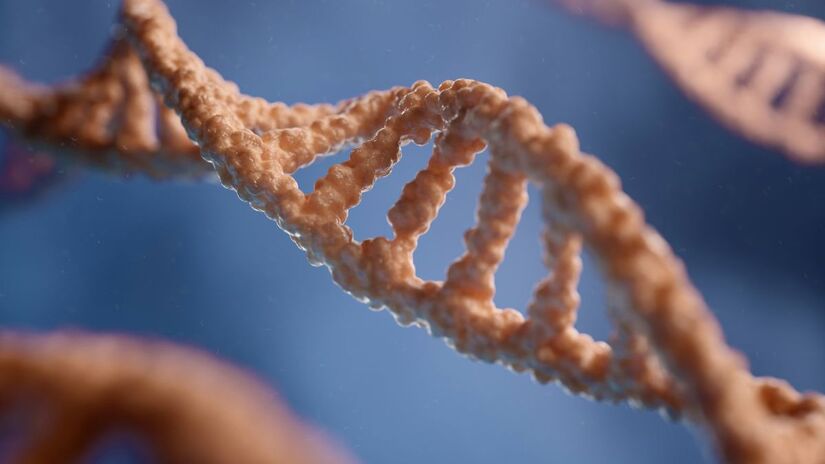 Cientistas identificaram variações raras no DNA, associadas ao transtorno obsessivo-compulsivo (TOC)/ digitale.de/Unsplash