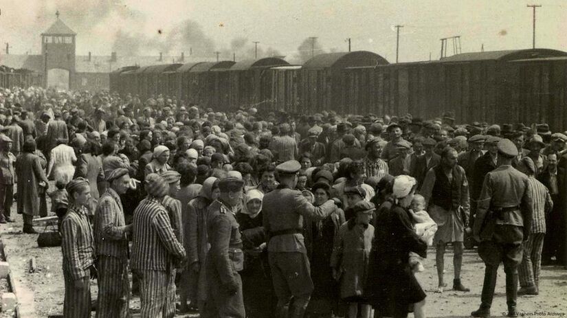 Trens chegavam e Mengele separava as pessoas para viver ou morrer
Crédito: United States Holocaust Memorial Museum