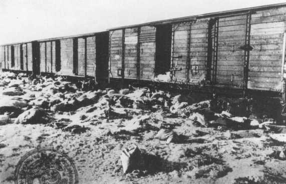 Trens eram insalubres e alguns chegavam sem vida
Crédito: United States Holocaust Memorial Museum