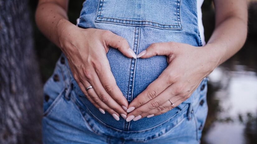 Durante a gravidez, é importante manter níveis adequados de vitamina D, observar as condições hormonais maternas e garantir estímulos cognitivos e sociais desde a infância/ Robster 91/Pixabay