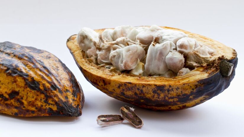 O cacau é rico em vitaminas A, B, C e E, fortalece o sistema nervoso, protege a visão e contribui para uma pele mais saudável/ Wirestock/Freepik