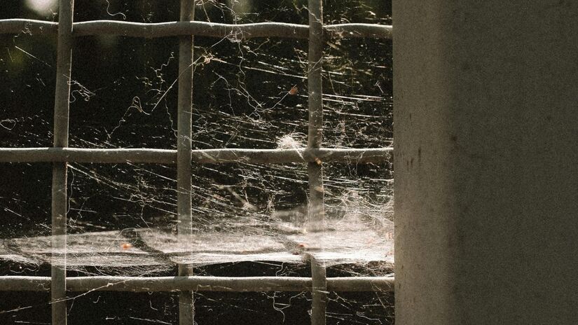 Aranhas dentro de casa é um problema que muita gente enfrenta / Pixabay