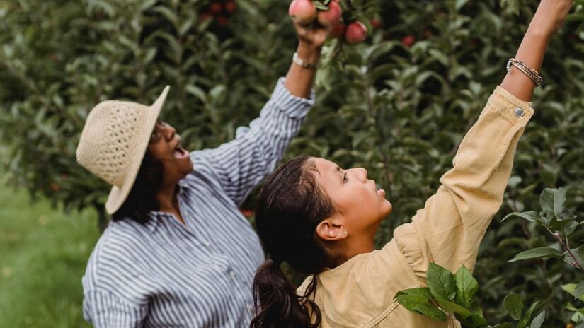 A colheita de frutas pode render ótimos momentos em família / Pexels
