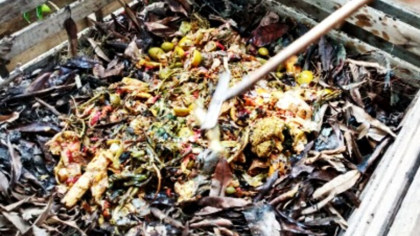 O projeto já realiza atividades há três anos, tendo trabalhado anteriormente com compostagem e hortas comunitárias / Divulgação