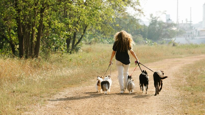 Se você tem pets, pode aproveitar o momento de caminhar com eles para se exercitar / Pexels