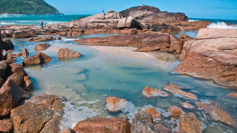 Reprodução/www.praiadorosa.imb.br