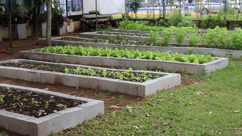 O projeto já realiza atividades há três anos, tendo trabalhado anteriormente com compostagem e hortas comunitárias / Divulgação