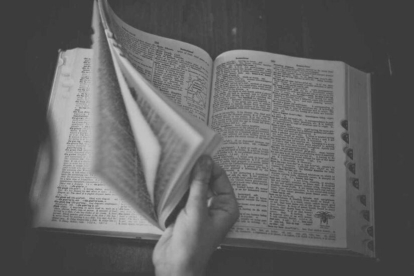 A palavra libélula diz respeito a um inseto que pertence à ordem Odonata/Pexels