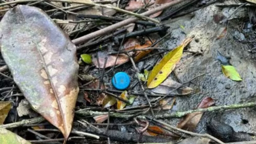 A poluição plástica é um fenômeno generalizado e que exige atenção contínua / Laboratório de Aquicultura Sustentável/Unesp/CLP