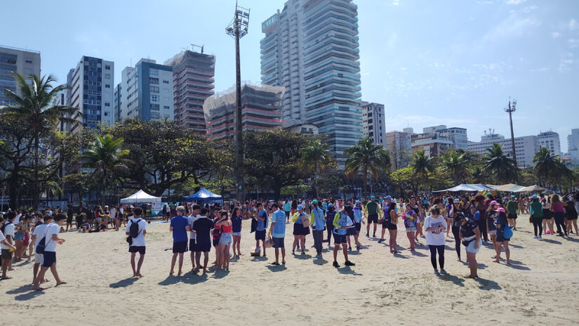 Segundo o balanço da Prefeitura de Santos, as ações somaram 46 toneladas de resíduos retirados de praias / Divulgação