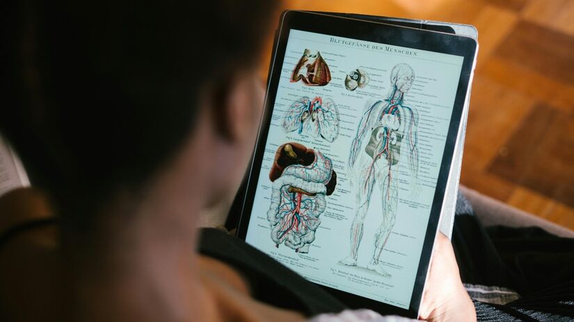 Os estudos relacionados ao Ciclo Circadiano trouxeram revelações importantes sobre o funcionamento do corpo / Pexels