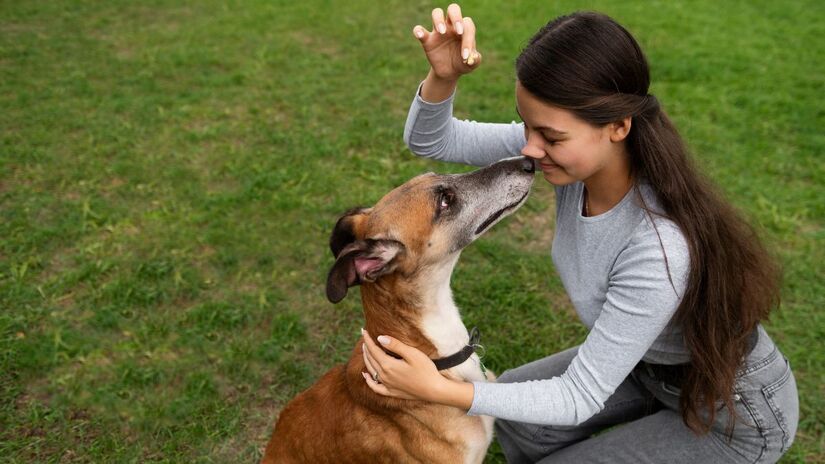 Na perspectiva psicológica, conversar com pets não é só demonstração de amor