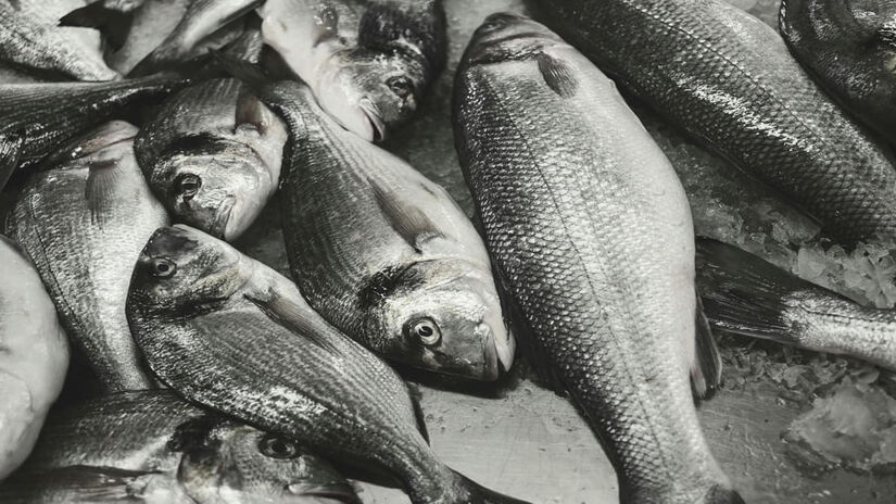De acordo com nutricionistas, a sardinha também pode ser preparada de maneira rápida, é acessível e contém muitas vitaminas (Ana Vieira/Pexels)