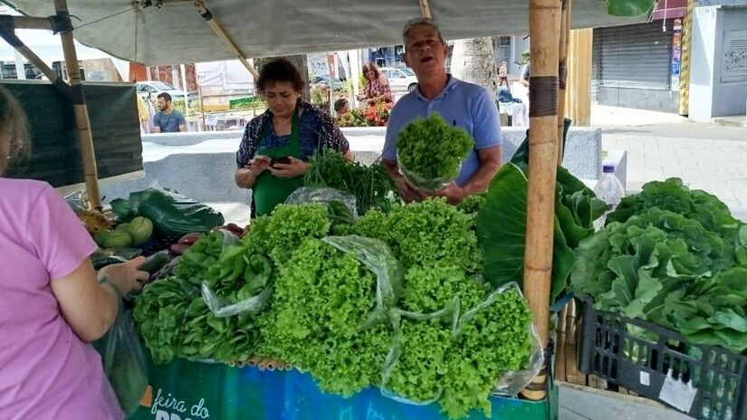 Hortaliças fresquinhas direto da agricultura familiar para a mesa dos consumidores / Divulgação