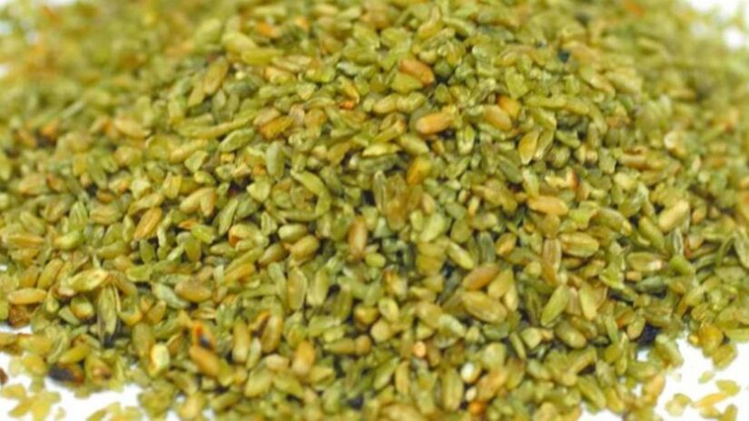 O grão em questão é o trigo verde torrado, conhecido no exterior pelo nome freekeh / Divulgação