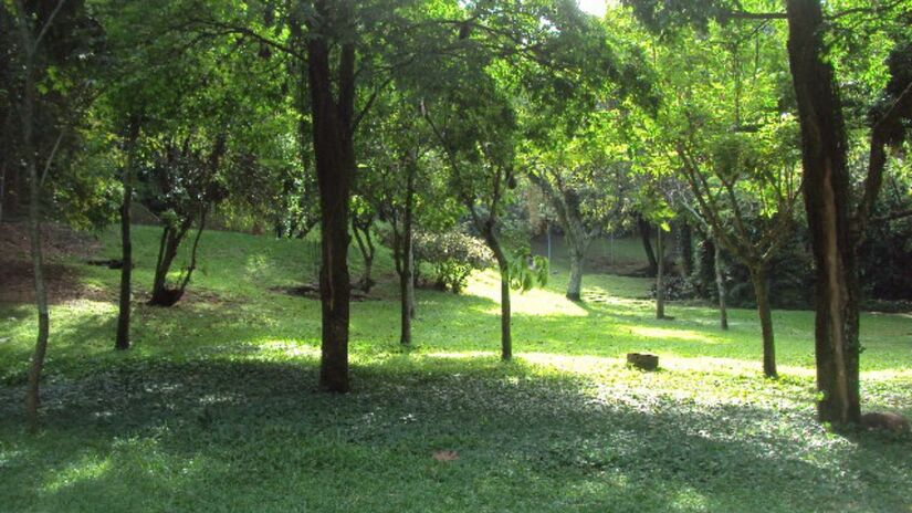 O Parque Guinle tem grande semelhança com as superquadras do Plano Piloto de Brasília/Wikipédia/Eduardo P.