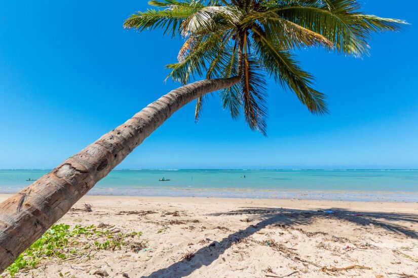 Praia do Patacho, Porto de Pedras, em Alagoas também foi citada/Reprodução - Bandeira Azul
