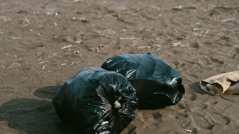 Risco ecológico: microplásticos ingeridos por peixes podem afetar toda a cadeia alimentar e acumular metais pesados e pesticidas. / Pexels
