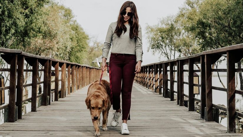 Uma boa dica é caminhar enquanto leva o animal de estimação para passear / Pexels