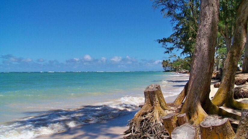 Leve vestidos, camisetas, bermudas e sandálias garantem estilo e praticidade na rotina de praia/Pixabay