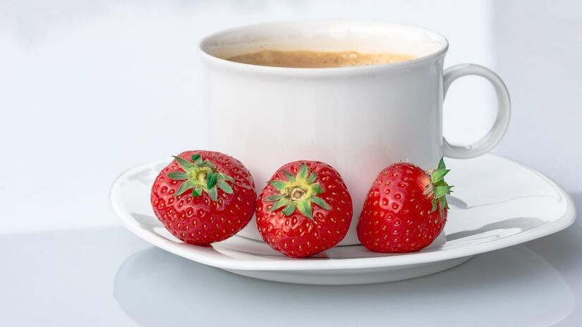 Frutos e folhas contêm cafeína, tradicionalmente usados em chimarrão e tereré para energia moderada/Pixabay