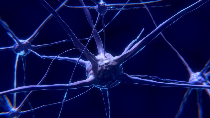 Manter o cérebro ativo ajuda a prevenir o envelhecimento cognitivo / Pixabay