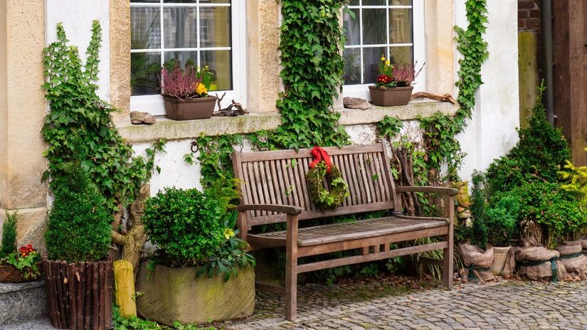 Muita gente sonha com um jardim bonito e florido em casa / Pixabay
