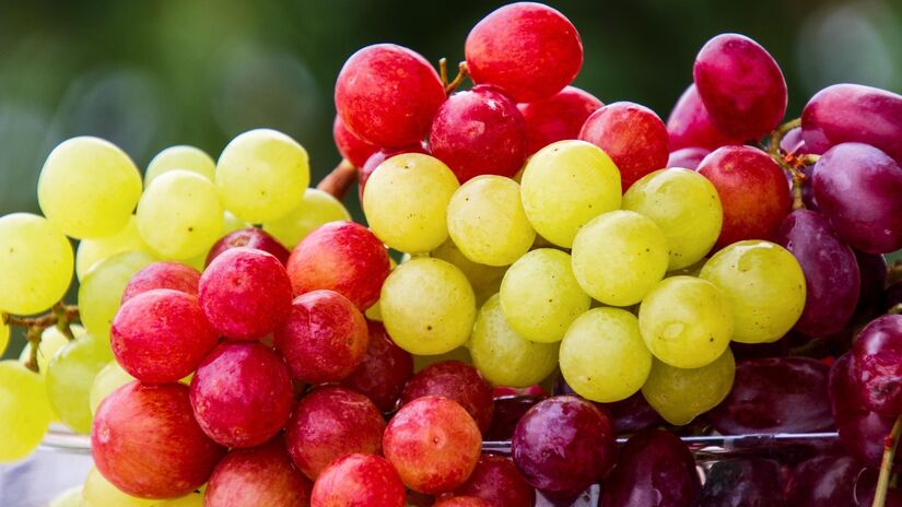 A uva é rica em antioxidantes que ajudam a proteger o organismo contra o envelhecimento precoce / Pixabay