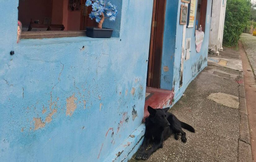 Trens, cervejas e nostalgia: descubra por que a Rota Guararema encanta cada visitante. Nair Bueno/DL