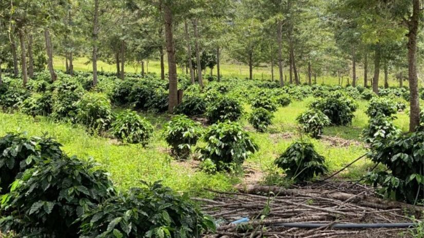  Entre sítios arqueológicos e inscrições milenares, Piatã revela marcas do passado que resistem ao tempo na Chapada Diamantina/ Blog Anderson Sotero