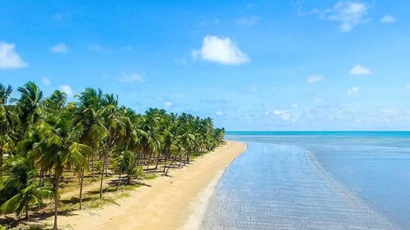 Japaratinga, Alagoas /Paraisodoscoqueirais