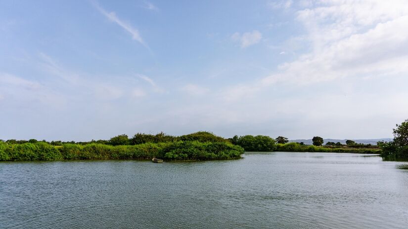 Além de ambientais, os manguezais têm importância econômica para comunidades pesqueiras / Pixabay