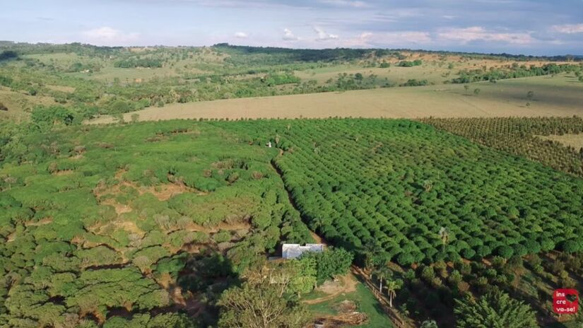 Nos dias de hoje a fazenda expandiu, ampliou a atuação no mercado e se tornou agroindústria