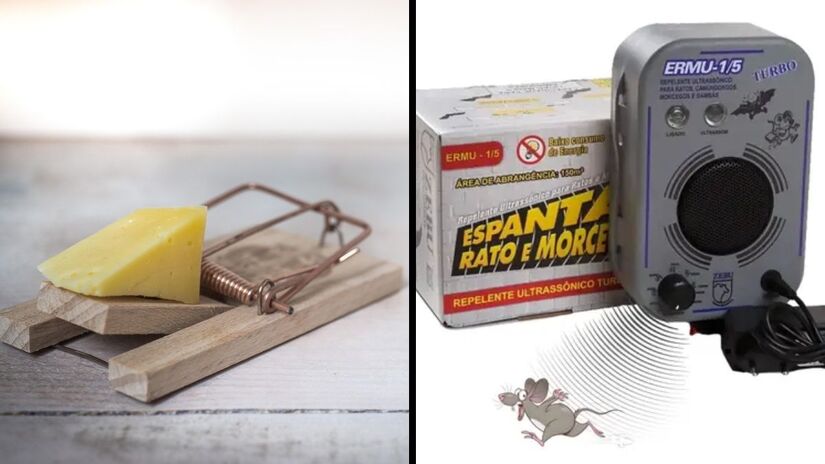 Use armadilhas ou aparelhos de ultrassom: ajudam em casos leves, mas devem ser verificados todos os dias/ Rudy and Peter Skitterians/Pixabay/Reprodução Magazine Luiza