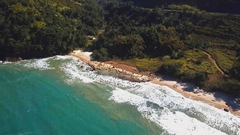 A Praia do Léo está localizada em Ubatuba, no Litoral Norte de São Paulo, e é considerada uma das últimas praias rústicas e preservadas da região / Fotos: Reprodução Youtube/Ubatuba e o mundo