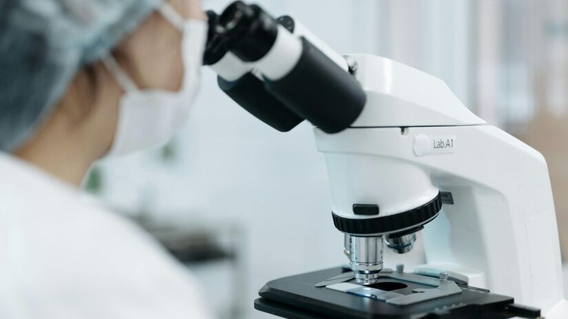 Paralelamente à pílula, sua equipe desenvolve um cosmético à base de plantas, atualmente em testes com voluntários / Pexels/Pavel Danilyuk