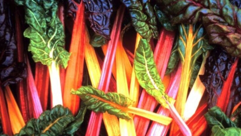 Colorida e versátil, a acelga fornece mais de 960 mg de potássio por xícara e é perfeita em sopas, refogados e conservas/ Reprodução Só Flor