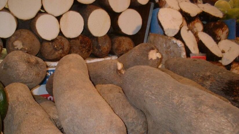 Tradicional na mesa brasileira, o inhame é rico em amido e potássio, fortalecendo o corpo e dando energia para o dia/ Jurema Oliveira/Wikimedia Commons