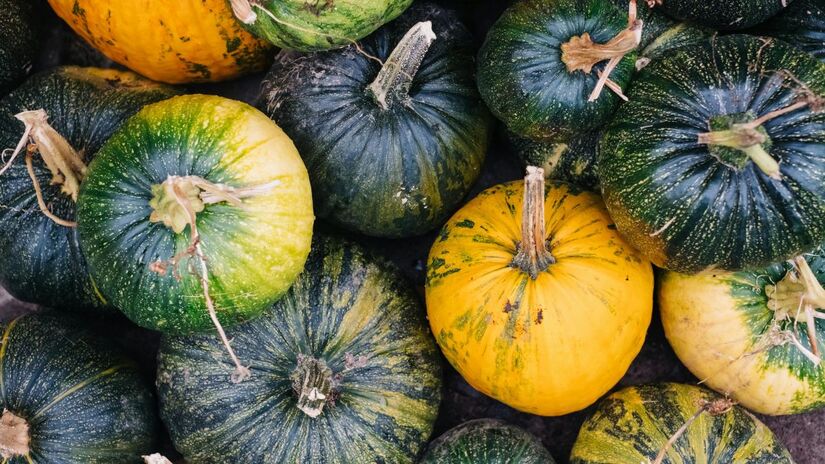 Com casca verde e polpa alaranjada, a abóbora bolota é doce, nutritiva e uma excelente fonte de potássio/ freestocks.org/Pexel