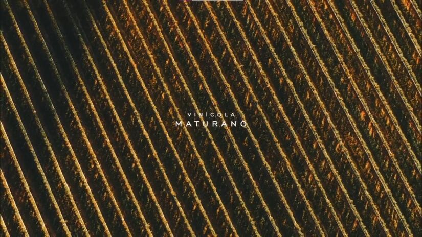 Fileiras de vinhedos da Vinícola Maturano simbolizam a nova fase do turismo e da economia fluminense/ Reprodução YouTube/Onde a Vista Encanta