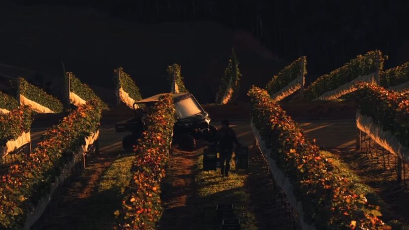 Colheita ao entardecer: o cultivo de uvas reforça o potencial agrícola impulsionado pela nova infraestrutura/ Reprodução YouTube/Onde a Vista Encanta