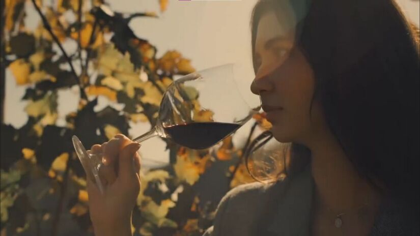 Enoturismo em alta: visitante participa de degustação guiada, atração que deve crescer com o turismo regional/ Reprodução YouTube/Onde a Vista Encanta