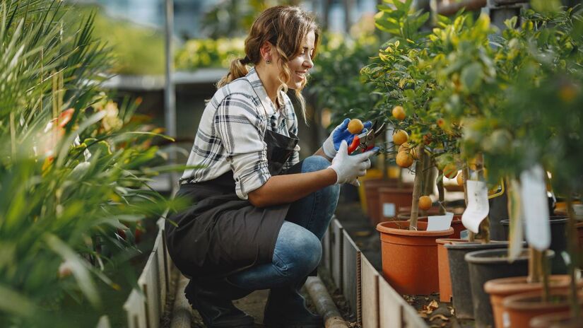 Cuidar de plantas e ter contato com a terra fortalece o microbioma por meio da exposição a microrganismos naturais/ prostooleh/Freepik