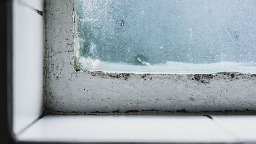 A diferença de temperatura entre o interior e o exterior da casa pode causar condensação e mofo nas janelas/ wirestock/Freepik