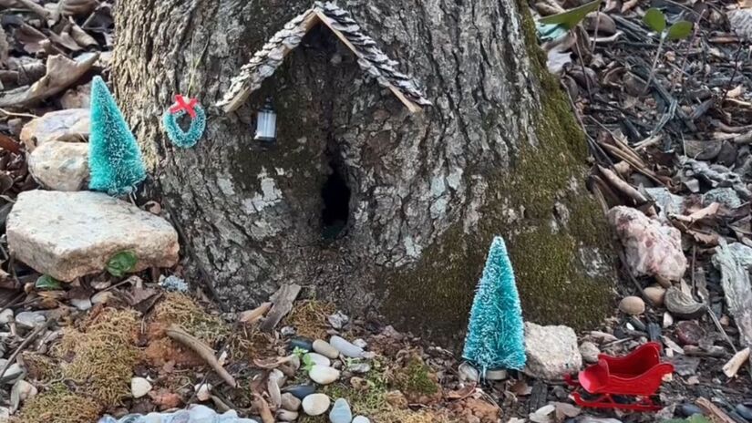 Theo também decorou a casa de Toad para o natal/ Reprodução Youtube/Sara Ann Sutton