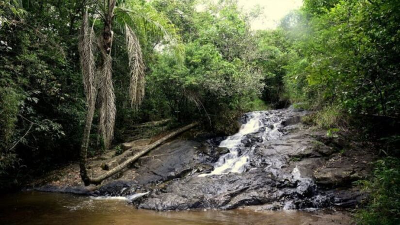 Uma das mais conhecidas da cidade, a Cachoeira Coqueiro Torto com trilhas acessíveis e paisagem perfeita para fotos/ Prefeitura Municipal de Águas da Prata