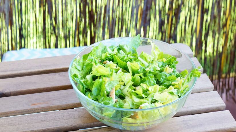 Vegetais de folhas verdes como espinafre, rúcula e alface são ricos em fibras e antioxidantes, que auxiliam no processo de desintoxicação do fígado e ajudam a regular os níveis de colesterol no organismo / wirestock/freepik