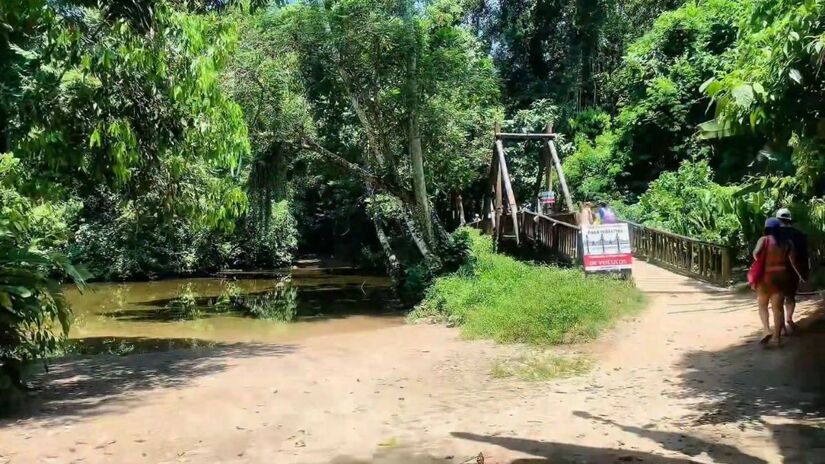 A trilha até a praia proporciona vistas incríveis da Mata Atlântica e revela, do alto, o formato de coração da baía