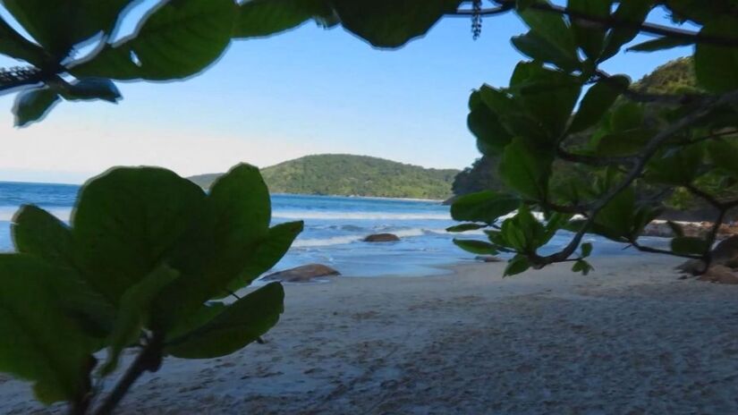 A partir da praia, é possível avistar várias ilhas próximas, como a Ilha do Prumirim, Ilha dos Porcos e Ilha das Couves